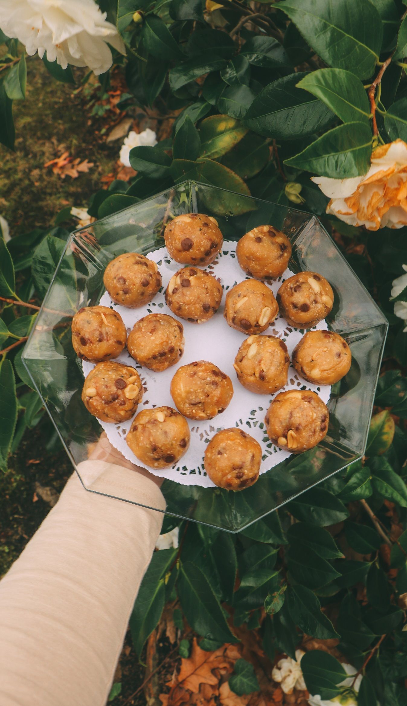 Copycat 'Healthy Lab' Chocolate Chip Peanut Butter Balls