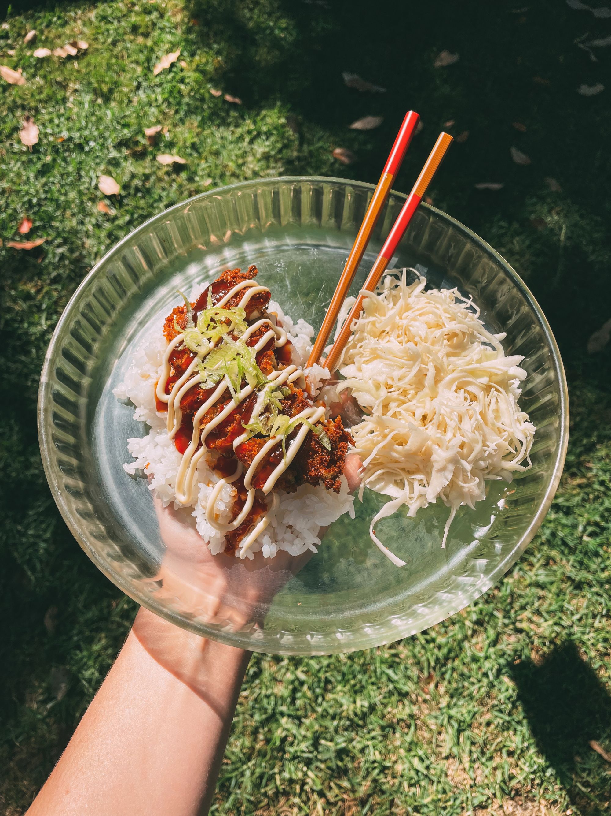 Tofu Tonkatsu with Cabbage Slaw Vegan & GlutenFree