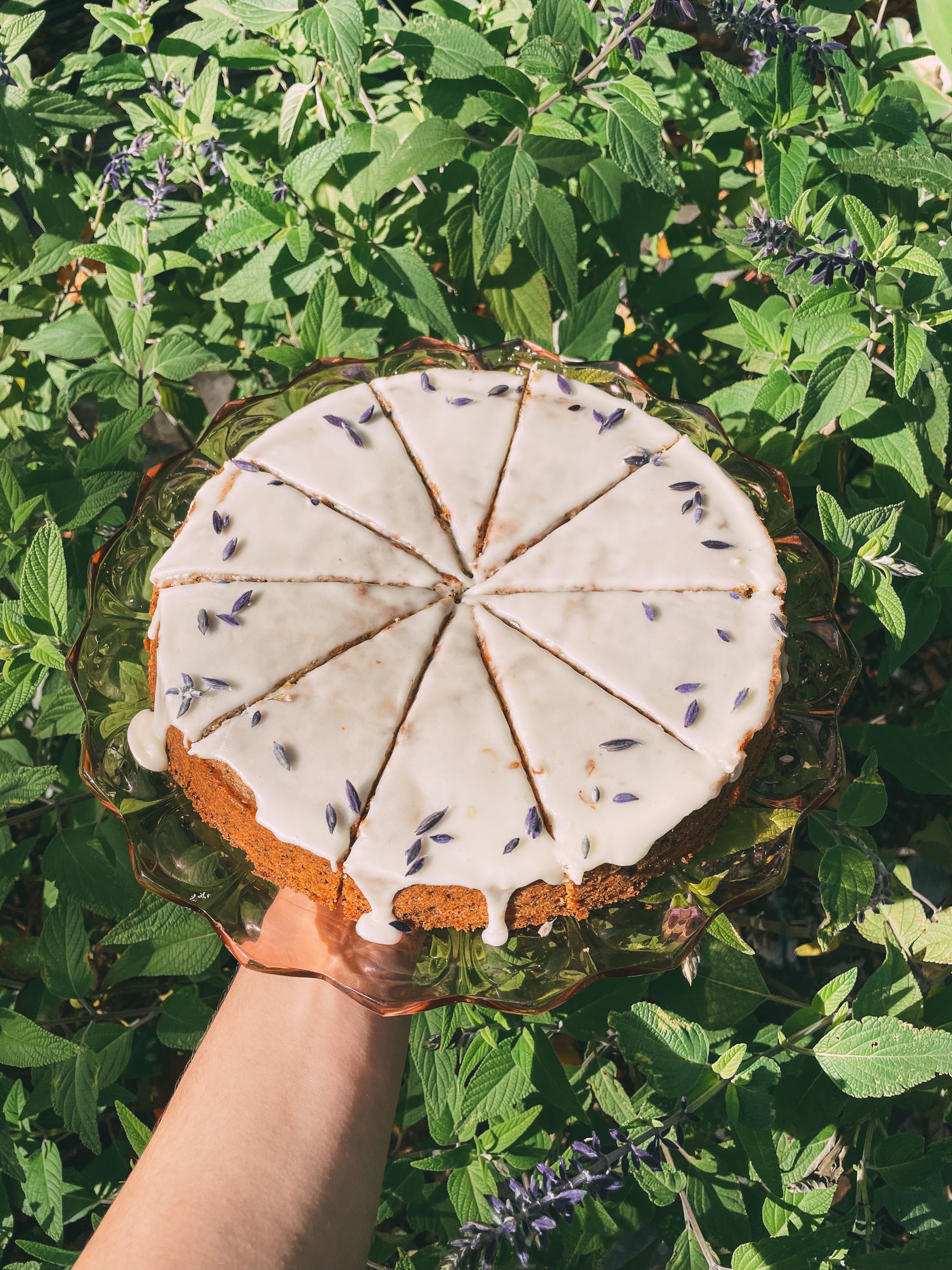 1 Bowl Vegan & GlutenFree Olive Oil, Orange & Bergamot Cake