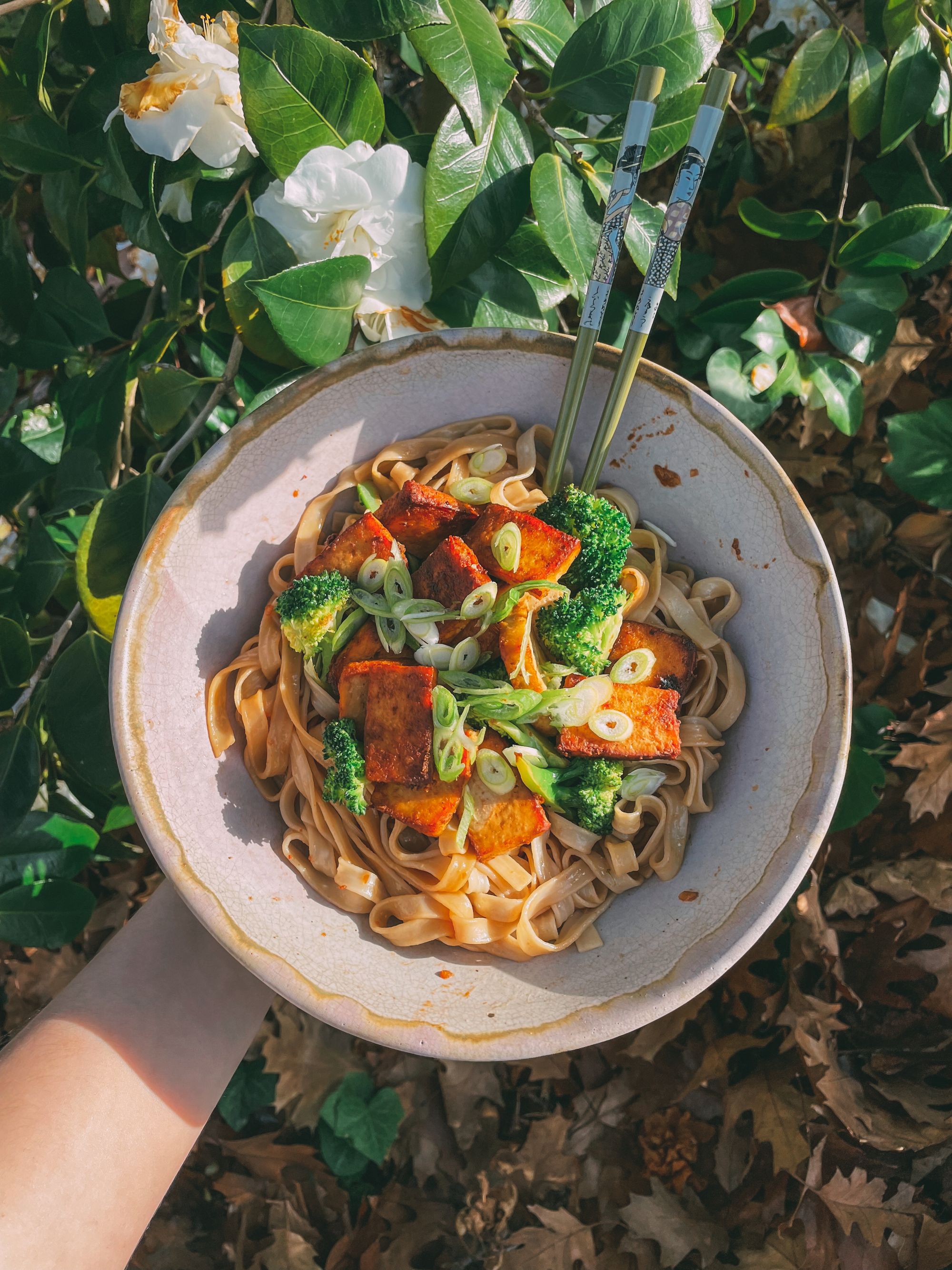 Buttered Miso Tofu & Broccoli Noodles Vegan & GlutenFree